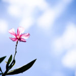 星読みについて