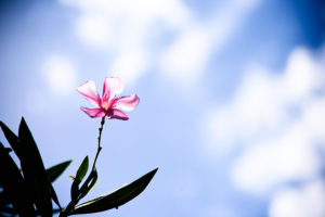 星読みについて