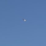 オンラインのコーチング